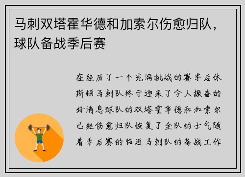 马刺双塔霍华德和加索尔伤愈归队，球队备战季后赛